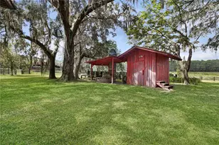 3350 NE 125th Terrace Rd, Silver Springs, FL 34488 - Photo 21