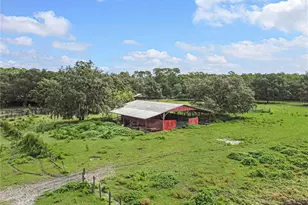 3350 NE 125th Terrace Rd, Silver Springs, FL 34488 - Photo 13