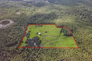 3350 NE 125th Terrace Rd, Silver Springs, FL 34488 - Photo 47