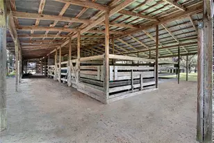 3350 NE 125th Terrace Rd, Silver Springs, FL 34488 - Photo 21