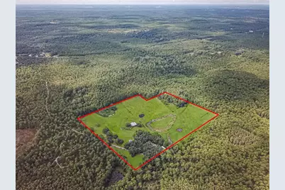 3350 NE 125th Terrace Road, Silver Springs, FL 34488 - Photo 3