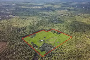 3350 NE 125th Terrace Rd, Silver Springs, FL 34488 - Photo 3