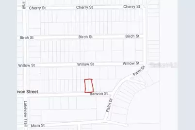00 Banvon Street, Interlachen, FL 32148 - Photo 3