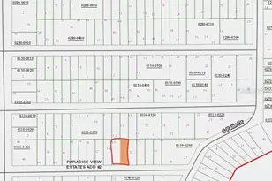 00 Banvon, Interlachen, FL 32148 - Photo 1