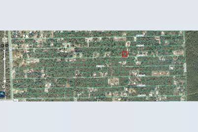 00 SE 236 Lane, Fort Mc Coy, FL 32134 - Photo 1