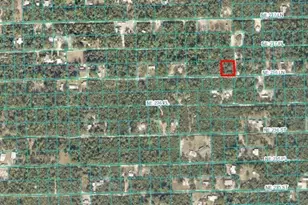 00 SE 236 Ln, Fort Mc Coy, FL 32134 - Photo 1