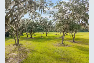 Tbd W 316 Highway, Reddick, FL 32686 - Photo 17