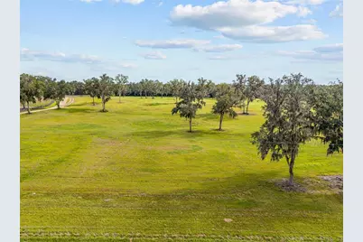 Tbd W 316 Highway, Reddick, FL 32686 - Photo 1