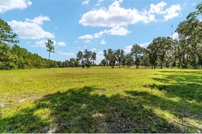 Tbd W 316 Highway, Reddick, FL 32686 - Photo 13