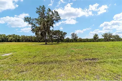 Tbd W 316 Highway, Reddick, FL 32686 - Photo 11