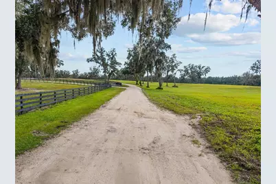 Tbd W 316 Highway, Reddick, FL 32686 - Photo 5