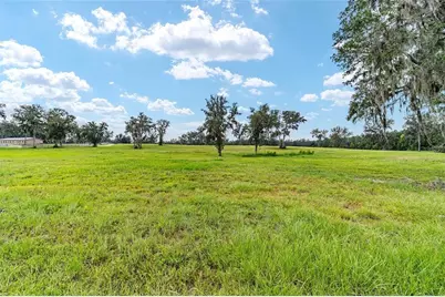 Tbd W 316 Highway, Reddick, FL 32686 - Photo 9