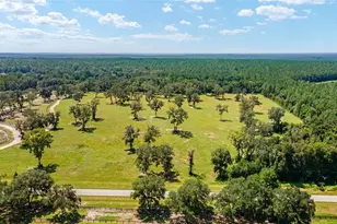 Tbd W 316 Hwy, Reddick, FL 32686 - Photo 1