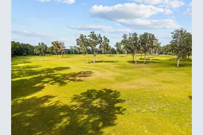 Tbd W 316 Highway, Reddick, FL 32686 - Photo 19