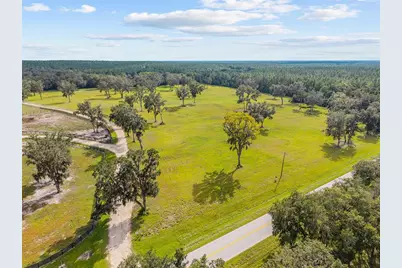 Tbd W 316 Highway, Reddick, FL 32686 - Photo 3