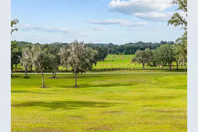 Tbd W 316 Highway, Reddick, FL 32686 - Photo 13
