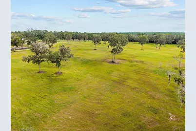 Tbd W 316 Highway, Reddick, FL 32686 - Photo 7