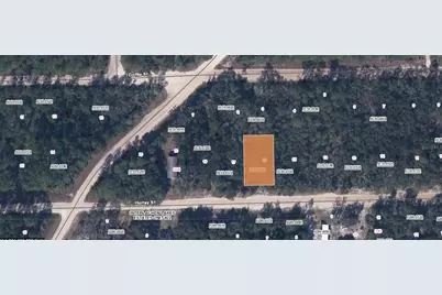 00 Hurley Street, Interlachen, FL 32148 - Photo 1