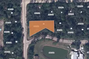 00 St Johns Ave / Hurley St, Interlachen, FL 32148 - Photo 1