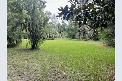 3231 NE Hwy 41, Williston, FL 32696 - Photo 9