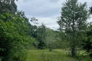 3231 NE Hwy 41, Williston, FL 32696 - Photo 21