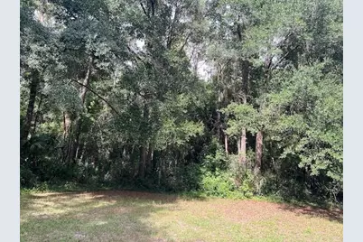 3231 NE Hwy 41, Williston, FL 32696 - Photo 7