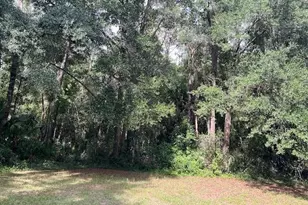 3231 NE Hwy 41, Williston, FL 32696 - Photo 7