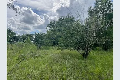 3231 NE Hwy 41, Williston, FL 32696 - Photo 25