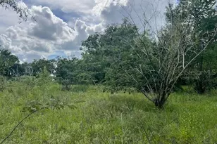 3231 NE Hwy 41, Williston, FL 32696 - Photo 25