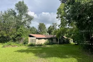 3231 NE Hwy 41, Williston, FL 32696 - Photo 3