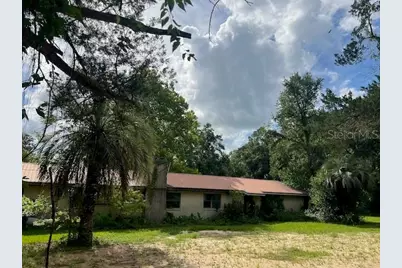 3231 NE Hwy 41, Williston, FL 32696 - Photo 5