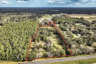 3231 NE Hwy 41, Williston, FL 32696 - Photo 17