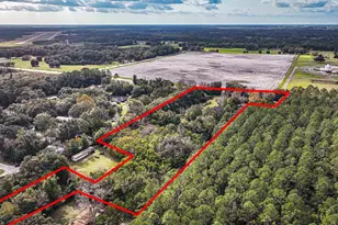 3231 NE Hwy 41, Williston, FL 32696 - Photo 13