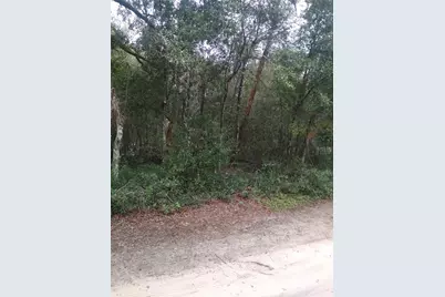 00 NE 147th Court, Silver Springs, FL 34488 - Photo 3