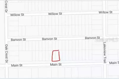 00 Main Street, Interlachen, FL 32148 - Photo 3