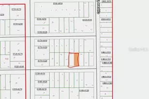 00 Maple Dr, Interlachen, FL 32148 - Photo 1