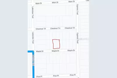 00 Maple Drive, Interlachen, FL 32148 - Photo 3