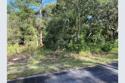 Sw Breezy Point Drive, Dunnellon, FL 34431 - Photo 1