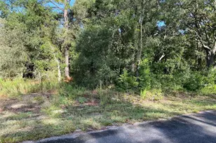 SW Breezy Point Dr, Dunnellon, FL 34431 - Photo 1