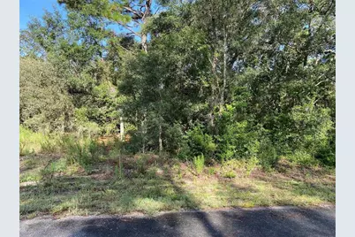 Sw Breezy Point Drive, Dunnellon, FL 34431 - Photo 3