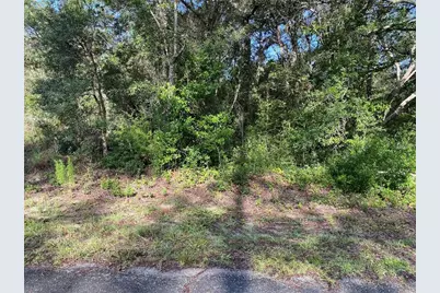 Sw Breezy Point Drive, Dunnellon, FL 34431 - Photo 5