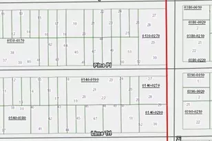 00 Pine Pl, Interlachen, FL 32148 - Photo 1