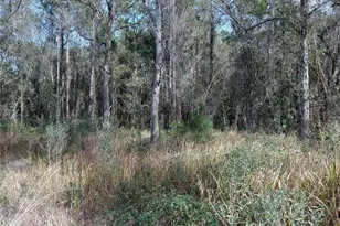 00 E Hwy 316, Fort Mc Coy, FL 32134 - Photo 1