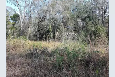 00 E Hwy 316, Fort Mc Coy, FL 32134 - Photo 3