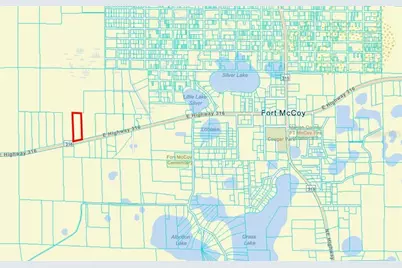 00 E Hwy 316, Fort Mc Coy, FL 32134 - Photo 5