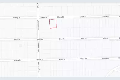 00 Cherry Street, Interlachen, FL 32148 - Photo 3