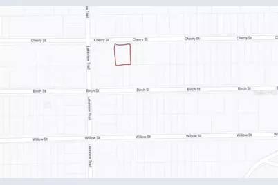 00 Cherry Street, Interlachen, FL 32148 - Photo 3