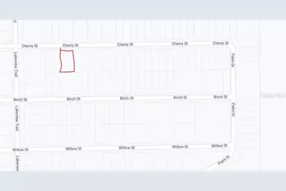 00 Cherry Street, Interlachen, FL 32148 - Photo 3