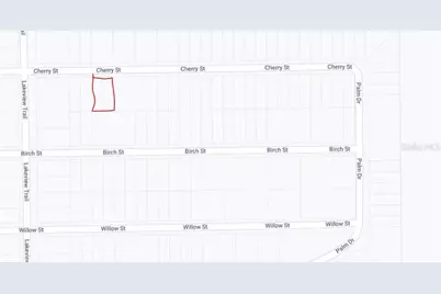 00 Cherry Street, Interlachen, FL 32148 - Photo 3