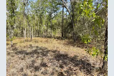 Lot 6 SE 2 Street, Williston, FL 32696 - Photo 3